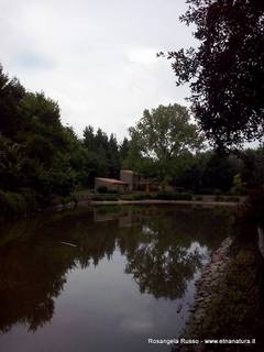 ano Collura-17-08-2015 08-50-00